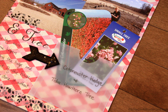 Garden journal hedge detail