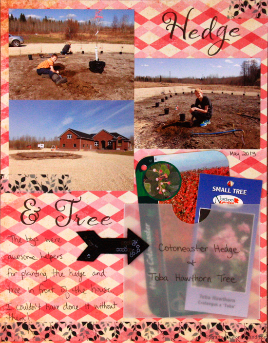 Garden journal hedge