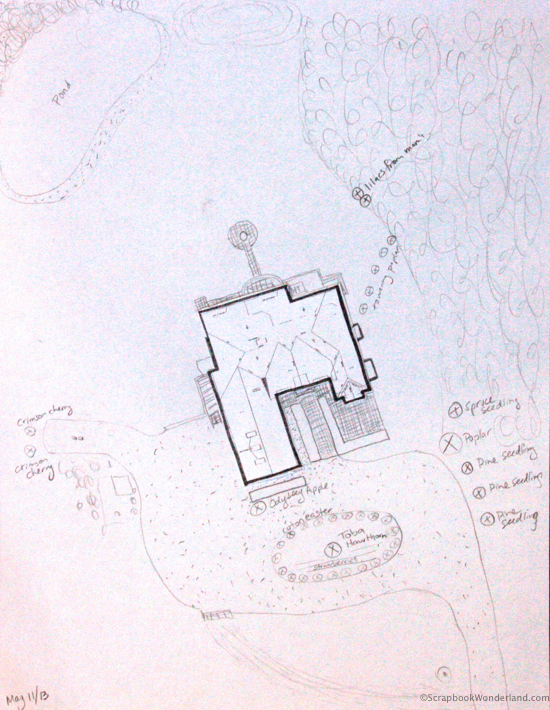 Garden journal sketch