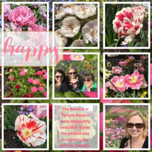 Beautiful SLC layout Alice Boll